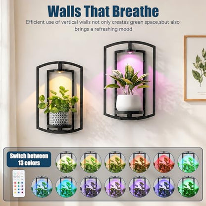 Wall Plant Holder with Remote Grow Lights, Framed Plants Holder for Indoor Plants Wall Decor, Living Room Plant Stand, Window Plant Shelves, 1 Pack