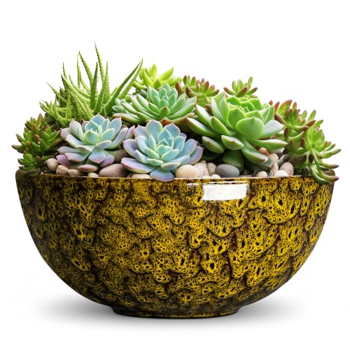 Succulent Pots, 10 Inch Ceramic Bonsai Pots, Yellow Leopard | Round Planter Bowl with Drainage Hole, Succulent Planters for Indoor Plants Outdoor, Living Room Decor, Garden Gifts Women - color: Yellow Leopard-1, size: 10 Inch