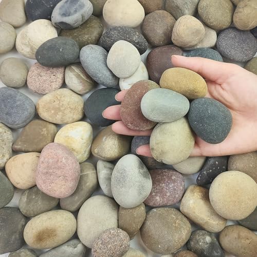 FANTIAN 5 lbs Pebbles for Plants, 1-2 Inch River Rocks for Fish Tank | Natural Rocks Decorative Stones for Plants Indoor, Landscaping, Garden, Aquarium, Fountain, Walkways and Outdoor - color: Mixed, size: 5 lbs, 1-2 Inch