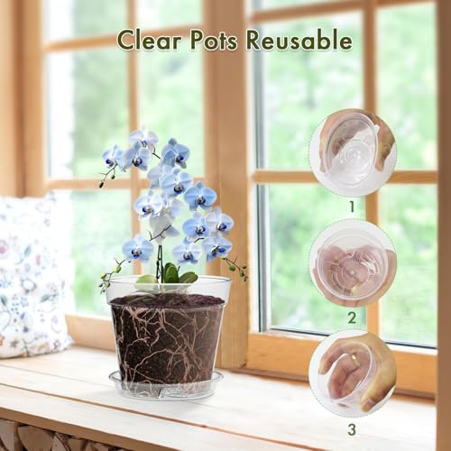 WSMKSZ 3 Inch Clear Nursery Pots, 30 Pack Highly Transparent Plastic Seedling Starter Planters with Drainage Holes and Trays for Flowers, Small Plant Pots for Indoor Plants - size: 3inch 30pcs