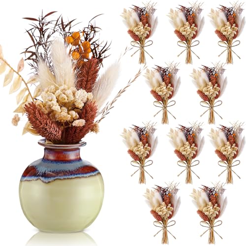 Nuanchu 12 Pcs Mini Dried Flower Bouquet 6" Natural Small Dried Flower with Stem for Birthday DIY Crafts Scrapbook Vase Boho Party Plates Cake Bridesmaid Gifts Card Envelope Decor(Fall) - style: Fall