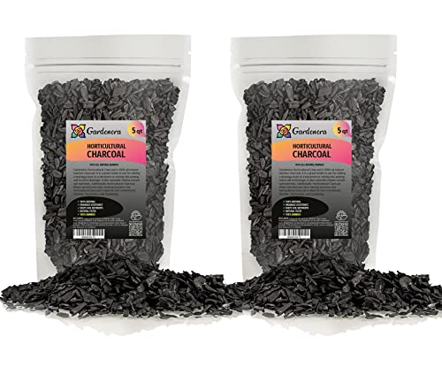 Gardenera - 10 Quart - Premium Horticultural Charcoal for Indoor Plants | Black Diamond Soil Amendment for Orchids, Terrariums, and Gardening (2 Bags of 5 Quart) - color: CHARCOAL, size: 10 Quart
