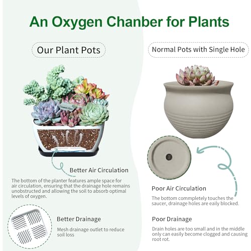 Oliz Succulent Pots 6 Inch Shallow Herb Planters with Drainage Hole - 8 Packs Cactus Planter for Home Office Garden Plants Pot Present - Plants Not Included (Off White) - size: Square 8 Pcs