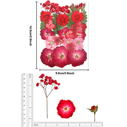 Augshy Red Dried Pressed Flowers, Pressed Red Roses Dried Flowers for Resin Molds Jewelry Nail Art Craft DIY - color: Red