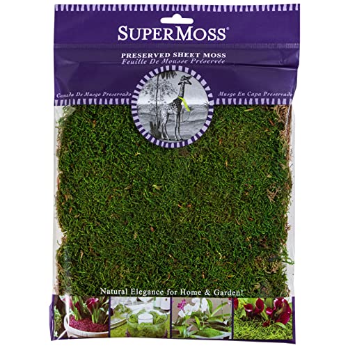 SuperMoss Preserved Sheet Moss, 12 Pack