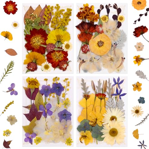 Real Dried Pressed Flowers for Resin Molds, Natural Bulk Floral Leaves