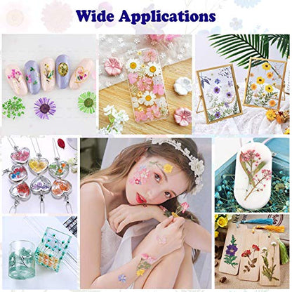 83 Pcs Pink Real Dried Pressed Flowers Natural Leave Petals for DIY Resin Molds Candle Jewelry Nail Crafts - color: Pink