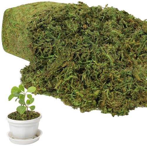YUNVI 17.6 OZ Large Capacity Artificial Moss for Potted Plants and Crafts