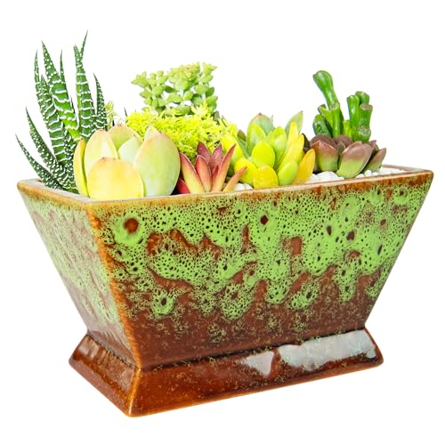 Succulent Pots - 7 Inch Large Plant Pot with Drainage, Shallow Bonsai Pots - color: Green