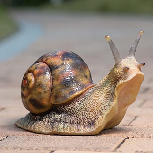 Garden Snail Sculpture, Reptile Resin Sculpture, Suitable for Outdoor Courtyard Pond Garden Lawn Decor Landscape, is the for Garden Enthusiasts (7 inches) - size: 8inch