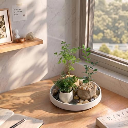Ceramic Plant Saucer 10.5 Inch 1 Pack White, Fits Pot Base Under 10 Inch | Sturdy, Leak-Proof, Indoor Outdoor Planter Base, Plant Pot Tray Plate for Flower Pots to Catch Water Drip & Drainage - size: 10.5in 1pack