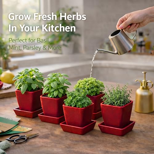 Small Plant Pots w/Drainage Holes for Mini Herb & Succulent Planter - color: Red