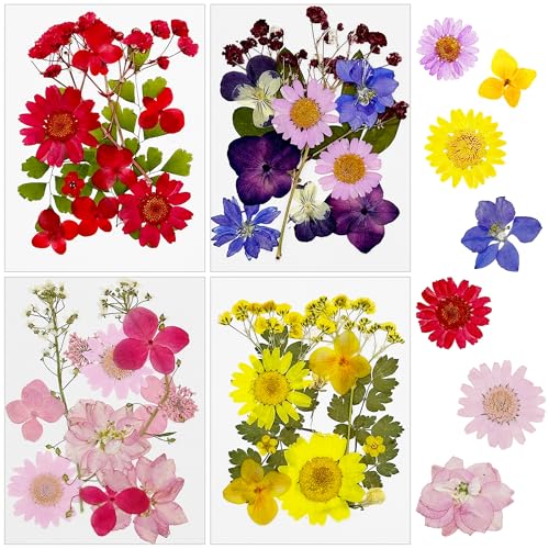 Cayway 48 PCS Natural Dried Flowers, Pressed Flowers, Colorful Resin Flowers Real Pressed Flowers for Resin Scrapbooking, Epoxy Resin Jewelry, Card Making Supplies, DIY Art Crafts - color: Yellow-pink-red-purple