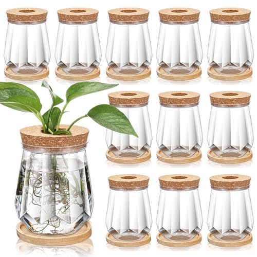 12 Pack Glass Propagation Vases with Bamboo Stand,Diamond Style | Hydroponic Planter Jars with Cork Lids for Plant Cuttings, Desktop Decor, Clear Design for Pothos Propagating Station