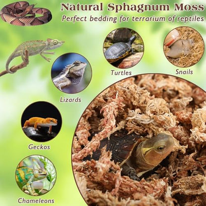 12 OZ Long Fiber Sphagnum Moss for Reptiles, 20 QT Terrarium Moss | Natural Dried Moss for Snakes Turtles Frogs Geckos Ball Pythons Bearded Dragons Lizards Tank Accessories, Moisture Retention - size: 12 OZ