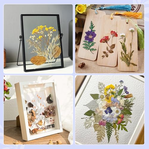 207 Pcs Dried Pressed Flowers for Crafts, Dried Pressed Flowers for Resin, Bulk Natural Dried Flowers Kit with Butterfly Stickers&Tweezers for DlY Resin Molds, Candles, Soap,Jewelry Making, Art Crafts