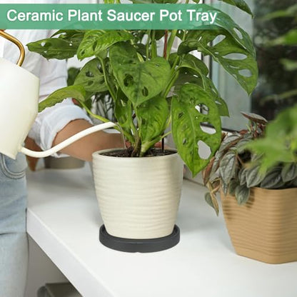 M METERXITY Ceramic Plant Saucer, 6.3 Inch Plant Water Catcher Tray, Plant Pot Saucers for Indoor/Outdoor Plants/Flower Drainage Drip Water Tray [Round Black] - color: Black