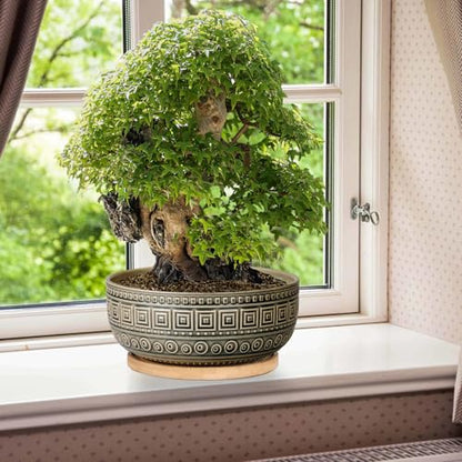 G EPGardening 8 Inch Ceramic Succulent Planter Pots Round Shallow Bonsai Planter Pot for Indoor Plants with Drainage and Bamboo Saucer Gray - color: Gray
