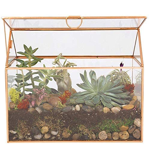 D'Eco Glass House Plant Terrarium, Centerpiece & Wedding Letterbox - color: Gold