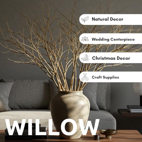 7 Thick and Tall Natural Curly Willow Branches for Decor, 3-4 Feet Long - Wedding or Christmas Decor, Wreathmaking (7 Branches)