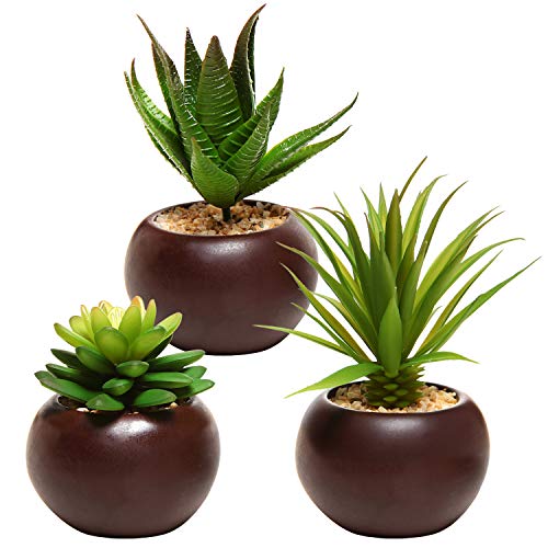 MyGift Mini Potted Succulents Plants, Set of 3 - color: Brown