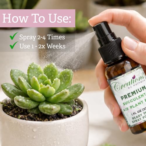 Creations by Nathalie 2.2 QT Succulent & Cactus Soil Mix for Terrariums | Natural, ready-to-use soil mix with pine bark, Canadian peat & coarse sand for succulents, cactus, aloe & terrariums.