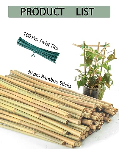 30 Pcs 16 Inch Bamboo Stakes Plant Support with Ties for Potted Plants - size: 16 INCH-30 PACK & Ties