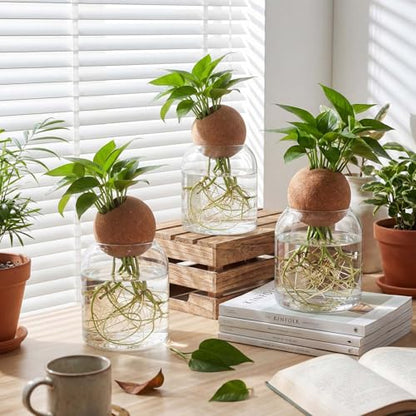3 Pcs 3.94 Inches Glass Plant Propagation Stations with Spherical Lid Glass Jars Plant Propagation Vases Hydroponic Spherical Cork Planter for Indoor Home Office Desktop Decor(Cylinder) - size: 3.94 Inches, style: Cylinder