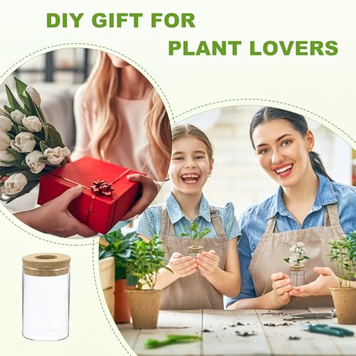 M METERXITY 1 Pack Glass Planter Terrarium with Wooden Cover, Desktop Plant Propagation Station Clear Vase for Hydroponic Plants Propagation/Home Garden Decor/Plant Lover [2.56'' x 3.94''] - size: 2.56'' x 3.94''