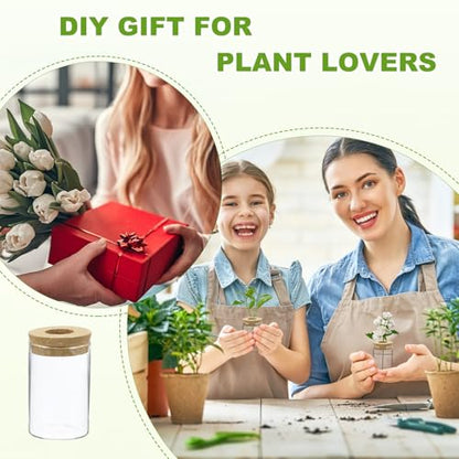 M METERXITY 1 Pack Glass Planter Terrarium with Wooden Cover, Desktop Plant Propagation Station Clear Vase for Hydroponic Plants Propagation/Home Garden Decor/Plant Lover [2.56'' x 3.94''] - size: 2.56'' x 3.94''