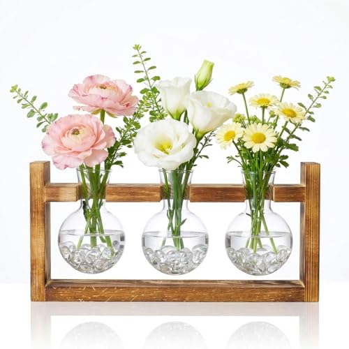 Propagation Stations,3 Bulb Glass Plant Propagation Station with Wooden Stand,Propagation Vases for Plants,Plant Propagation Tubes,Glass Planters for Indoor Plants,Vintage Desk Décor Gift (Round) - color: Round