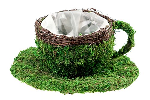 SuperMoss (55254) Coffee Medium Cup Deco Basket, 4", Fresh Green