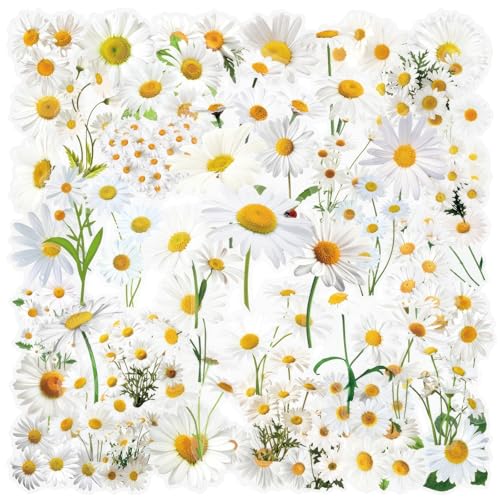 50PCS Daisy Flower Transparent Stickers - style: Daisy Flower