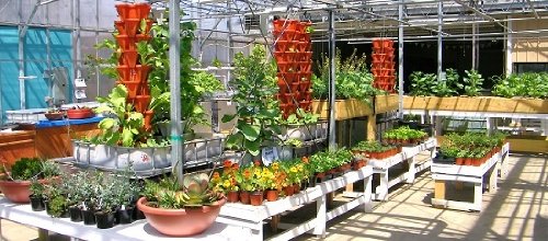 Vertical Gardening Planters - Mr Stacky Pots Can Use Any Growing Medium (Soil, Clay Pebbles, Vermiculte, Perlite, Coco Fiber) - Great for Hydroponics and Aquaponics Too - Build Your Own Stacking - color: Stone