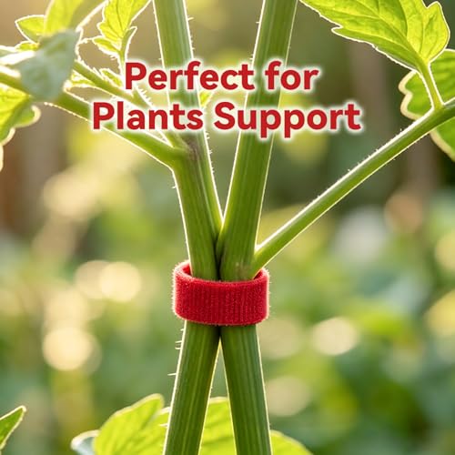 50FT Nylon Garden Tie Plant Tape Supports for Climbing Plants Red | Cut Design, Reusable Sturdy Adjustable Garden Tape for Plants, Flowers, Vines and Tree Holiday - color: Red