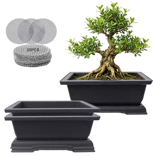 MUZHI 3PCS Retro Style Small Rectangular Garden Pots Bonsai Planters Pot with Tray Mocha Plastic Plant Pot with Pallet 6.5" (3PCS Rect 6") - size: 3PCS Rect 6"