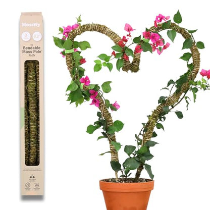 Mossify Bendable Moss Pole, 3 Pack, 42'', Natural Forest Moss - size: 42 Inches