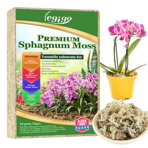 3.5oz Sphagnum Moss for Plants, 4QT Orchid Moss Potting Mix | Long Fiber Sphagnum Moss Dried for Plants Indoor, Orchid Repotting, Succulent, Carnivorous Plants, Terrarium and Reptiles - size: 0.22 lb