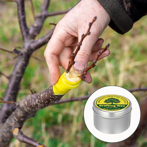 RattanView 2 Pcs 7 oz Grafting Wax Tin Weather Resistant Wax for Grafting Roses Fruit Bonsai Shrubs Wound Sealer Flexible Graft Sealer for Effective Tree Wound Repair (Fresh) - style: Fresh