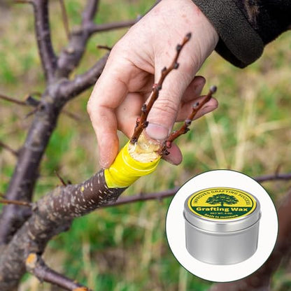 RattanView 2 Pcs 7 oz Grafting Wax Tin Weather Resistant Wax for Grafting Roses Fruit Bonsai Shrubs Wound Sealer Flexible Graft Sealer for Effective Tree Wound Repair (Fresh) - style: Fresh
