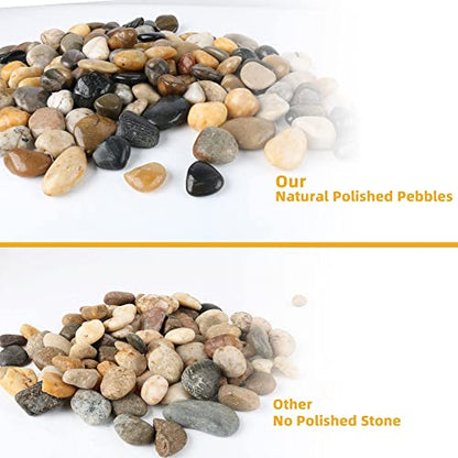 Pebbles for Plants 7 lb Natural River Rocks for Garden Outdoor Aquariums Gravel 1-1.5 Inches - size: 7LB, style: Colour