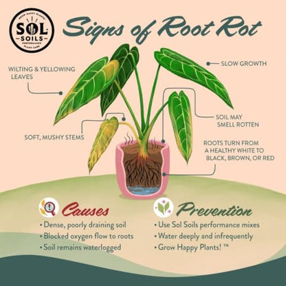 Succulent Gritty Mix 7 Gallon Box - Fast Draining Peat Moss Free Succulent Soil Potting Mix with Coconut Husk Chips, Perlite & Pumice - size: 7 Gallon