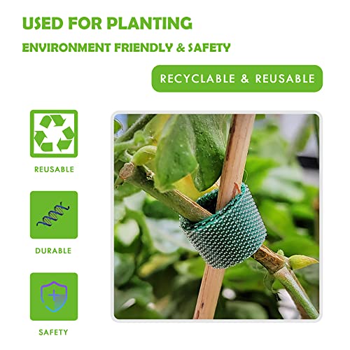 Green Garden Ties|Plant Ties for Climbing Plants 100 feet x1/2‘’in 3 Rolls|Plant Supports for Effective Growing Strong |Green-Recycled Plastic Garden Twine & Twist Ties for Tomato Stakes