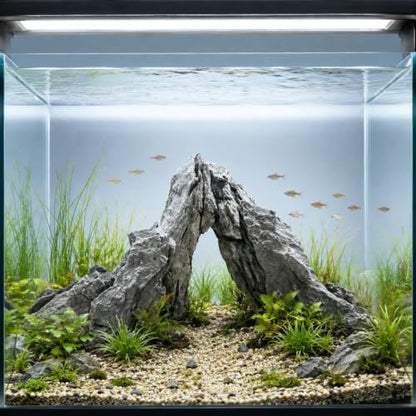 Seiryu Stone Aquarium Rocks for Fish Tank,10LB 3-7inches | Natural Stone for aquarium hardscape, aquascaping, terrariums, bonsai, and potted plants - size: 10lb,3-7inches