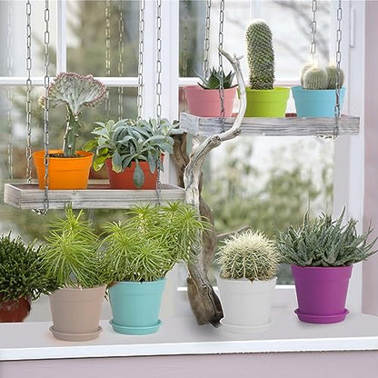 SwinDuck 4 inch Plant Pots, 28 Pack Small Plastic Planters with Drainage Holes and Saucers for Flowers Plants, Succulents, Seed Starting Pots, Colorful - color: Colorful