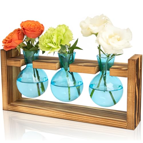 XXXFLOWER Plant Terrarium Jar Propagation Station Stand 3 Blue Bulb Vases - color: Blue