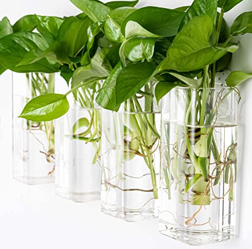 Kingbuy Wall Hanging Glass Planter Flower Vase Plant Propagation Station for Hydroponic Plants Home Office Garden Decor - 2 Egg Shape Plant Terrarium and 4 Square Shape Vase
