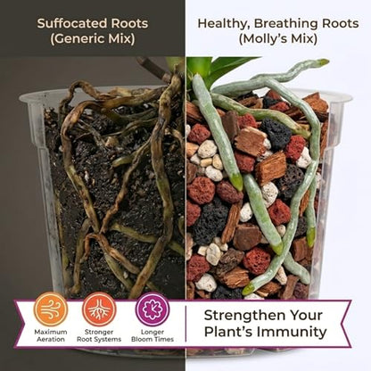 Molly's Orchid Potting Mix Chunky Soil-Free for Indoor Orchids 3 Dry Quarts - size: 3 Dry Quarts, style: Orchids