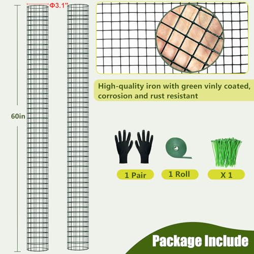 60" Metal Moss Pole, 2 Pack Moss Poles for Plants Monstera, Stackable Sphagnum Moss Pole, Plant Poles for Climbing Plants Work with Sphagnum Moss(2 Pack 60") - color: 2 Pack 60"