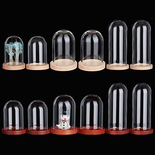 PH PandaHall 12Sets Glass Display Cloche Dome 3 Size Mini Cloche Bell Jar with Wood Base Glass Bottles Dome Decorative Jars Display Case for Flower Teeth Storage Home Christmas Party Favor Decoration - size: 1.3-2 x 1-1.8 inches